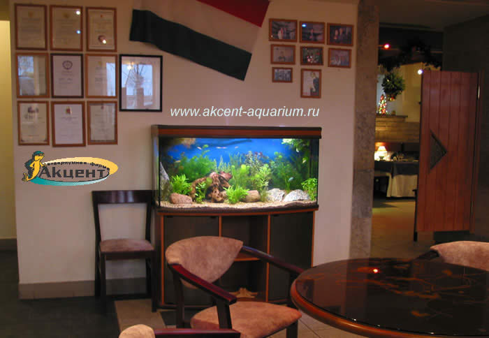 Акцент-аквариум,аквариум 270 литров с гнутым передним стеклом,кафе